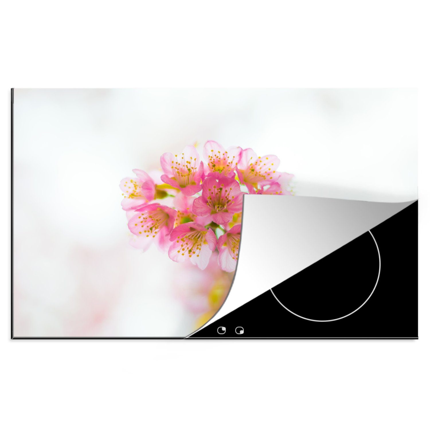 für MuchoWow Hintergrund, weißem Die 81x52 rosa küche, Induktionskochfeld tlg), die Herdblende-/Abdeckplatte Schutz cm, Vinyl, Ceranfeldabdeckung (1 Kirschblüten mit