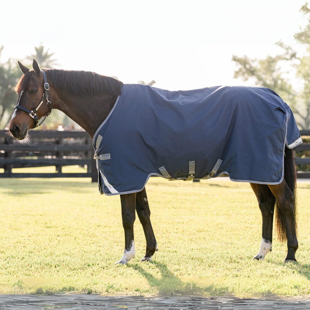 Pferde-Übergangsdecke Horseware Rhino Turnout 100g