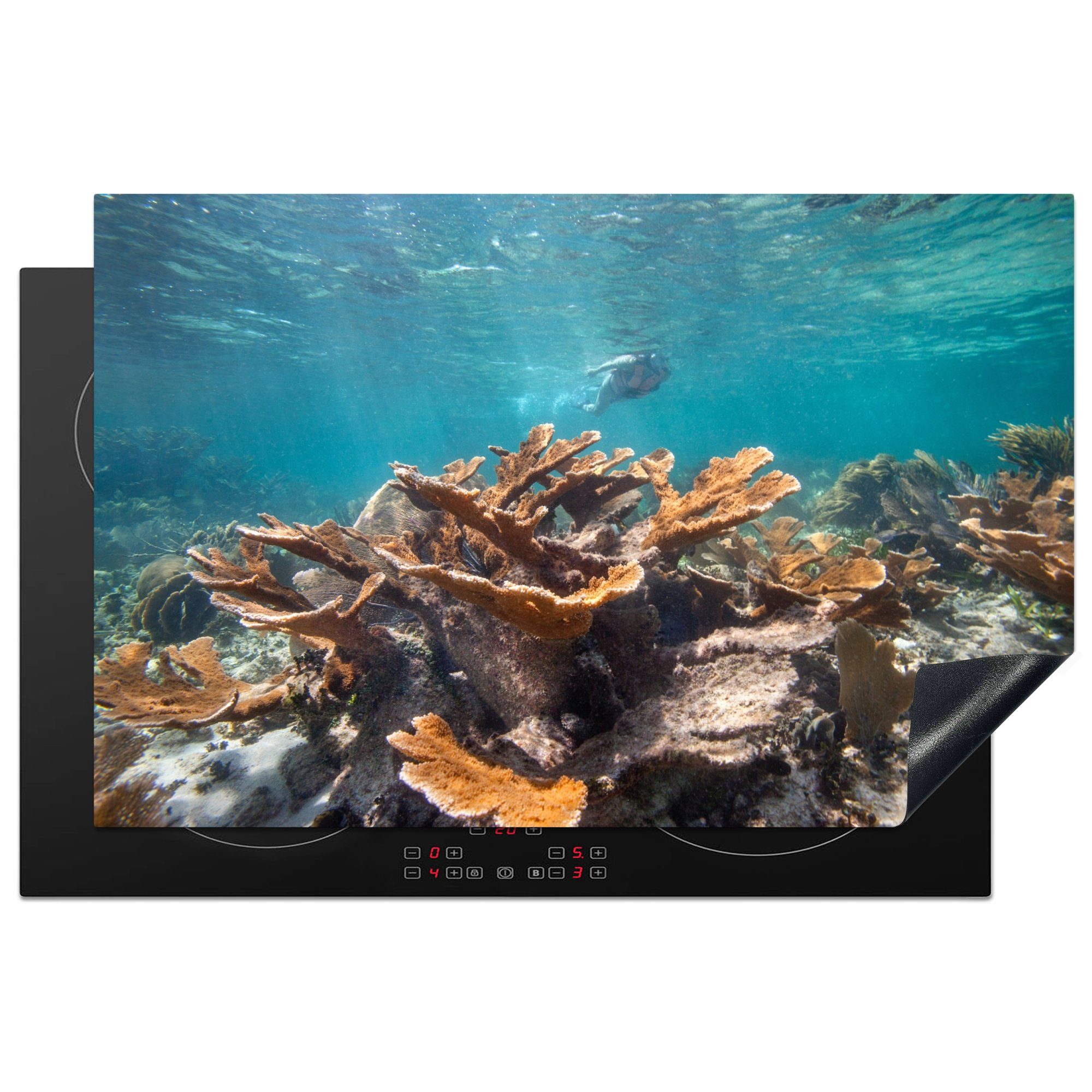 MuchoWow Herdblende-/Abdeckplatte Unterwasserfoto an der Playa del Carmen in Mexiko, Vinyl, (1 tlg), 81x52 cm, Induktionskochfeld Schutz für die küche, Ceranfeldabdeckung