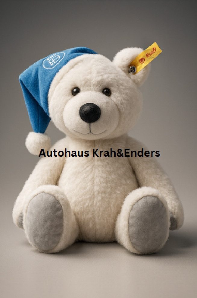 BMW Kuscheltier BMW Geschenkset in exklusiver Geschenkbox Teddy Plüschtier Kuscheltier (1-St)