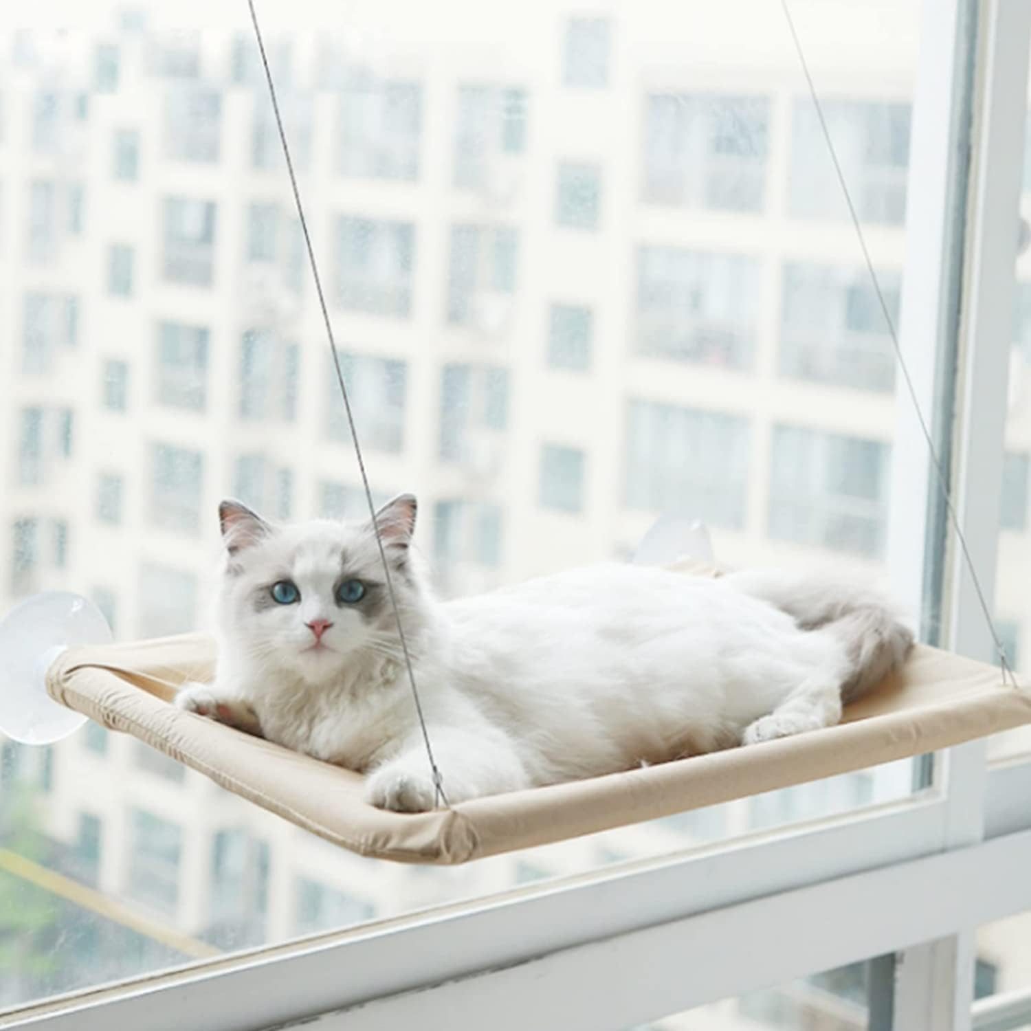LA CUTE Katzen-Hängematte Katzen Hängematte Fenster, günstig online kaufen
