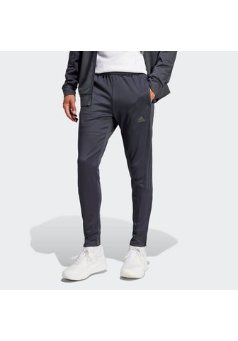 adidas Sportswear Sportinės kelnės M TIRO REF PT (1-tlg)...