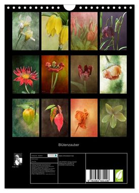CALVENDO Wandkalender Blütenzauber (Wandkalender 2024 DIN A4 hoch), CALVENDO Monatskalender
