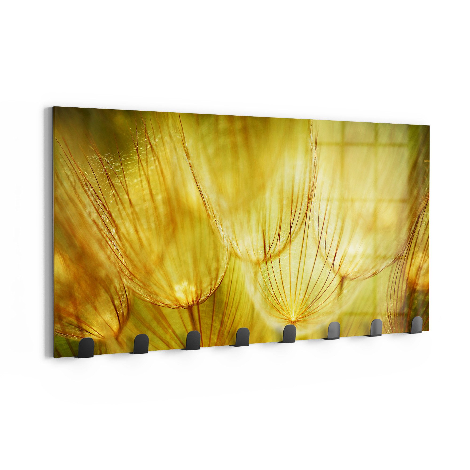 DEQORI Kleiderhaken 'Goldener Hauch', Glas Garderobe Paneel magnetisch beschreibbar