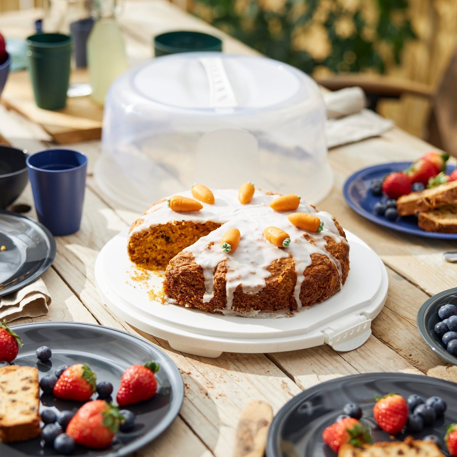 ROTHO Aufbewahrungssystem FRESH hoch Kuchentransportbox mit Haube und Griff