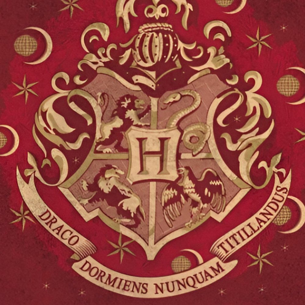 Harry Potter Strandtuch Harry Potter Hogwarts günstig online kaufen