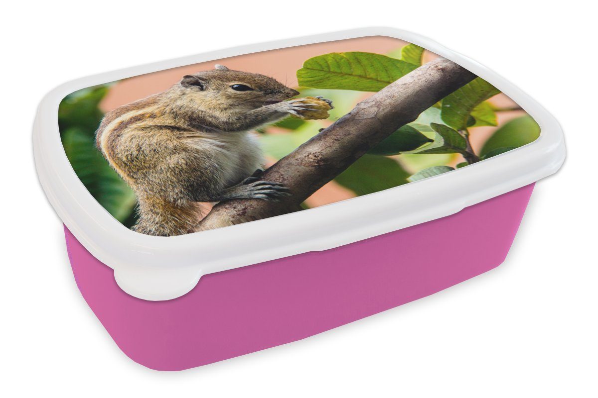 Kunststoff, Lunchbox Brotdose Snackbox, Kunststoff gestreiftes Erwachsene, Mädchen, Eichhörnchen, (2-tlg), für MuchoWow rosa Braun Kinder, Brotbox