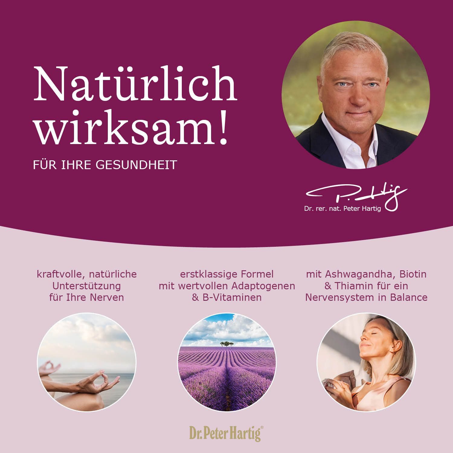Dr. Peter Hartig Nervenkraft, unterstützt das Nervensystem, Vitamin B1, Ginsengextrakt Kapseln, 45 Kapseln, 45-Tages-Vorrat, à 25 g