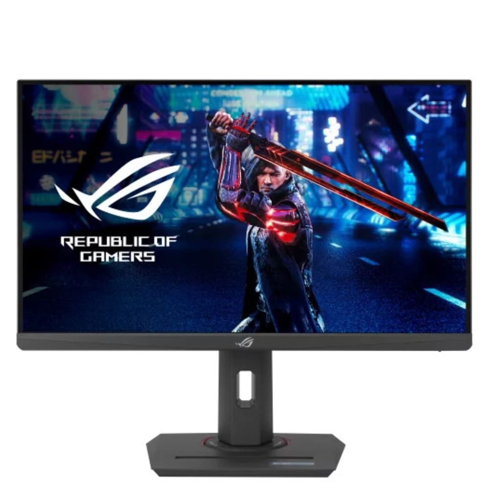 XG259QNS LCD-Monitor