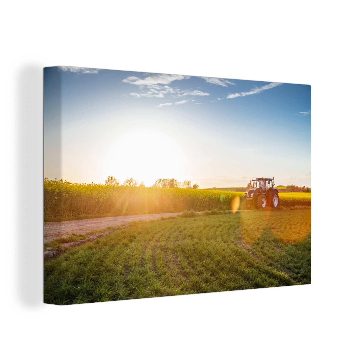 OneMillionCanvasses® Leinwandbild Traktor - Gras - günstig online kaufen