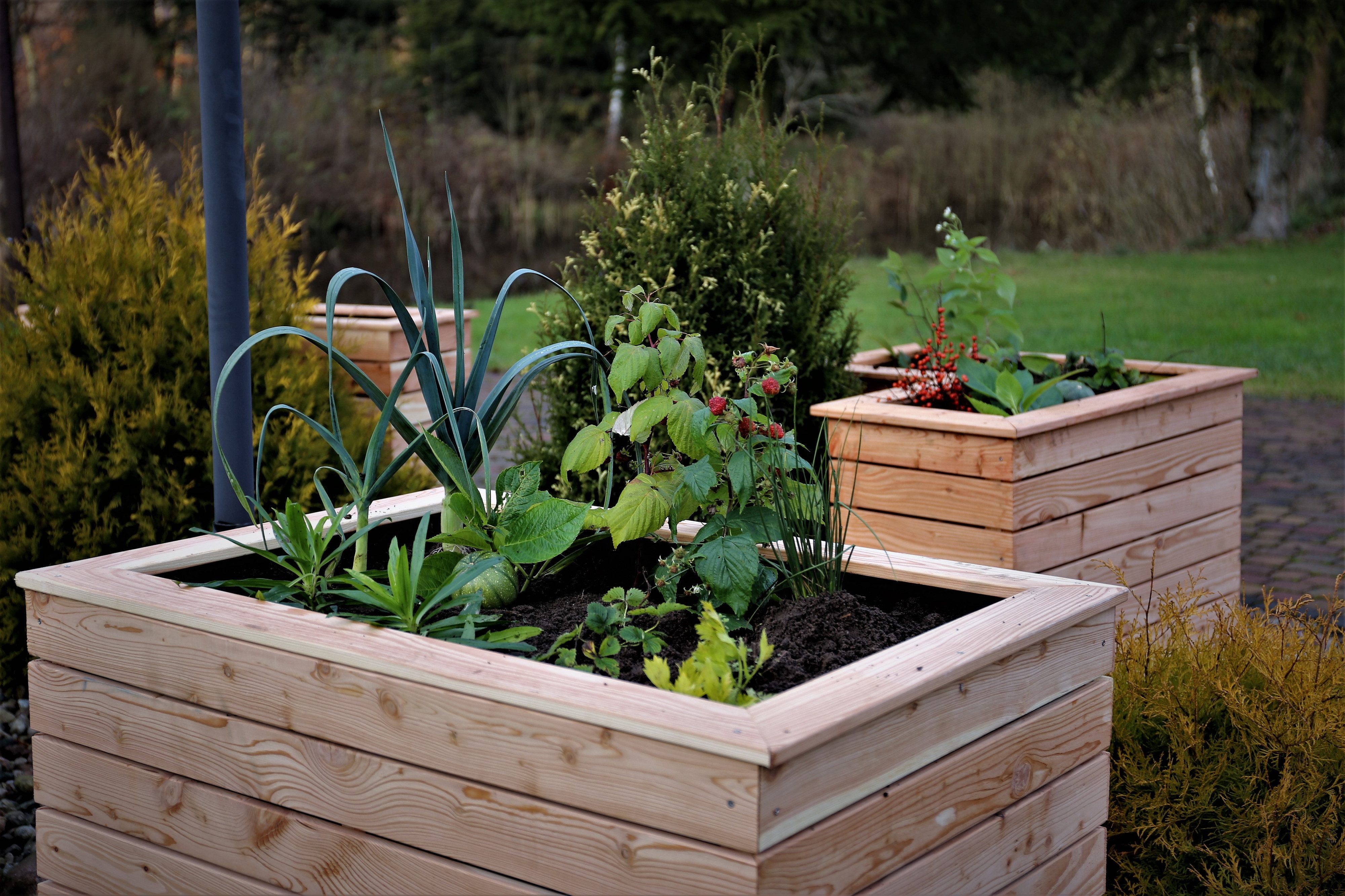 FUNGOO Hochbeet Hochbeet 11 IRENA 100x70x72 cm Lärchenholz Bausatz vormontiert