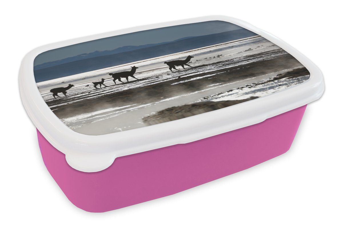 Brotdose Kunststoff Mädchen, rosa Kunststoff, Kinder, Snackbox, Brotbox - Berg Lunchbox Wasser, Erwachsene, für Alpakas MuchoWow (2-tlg), -