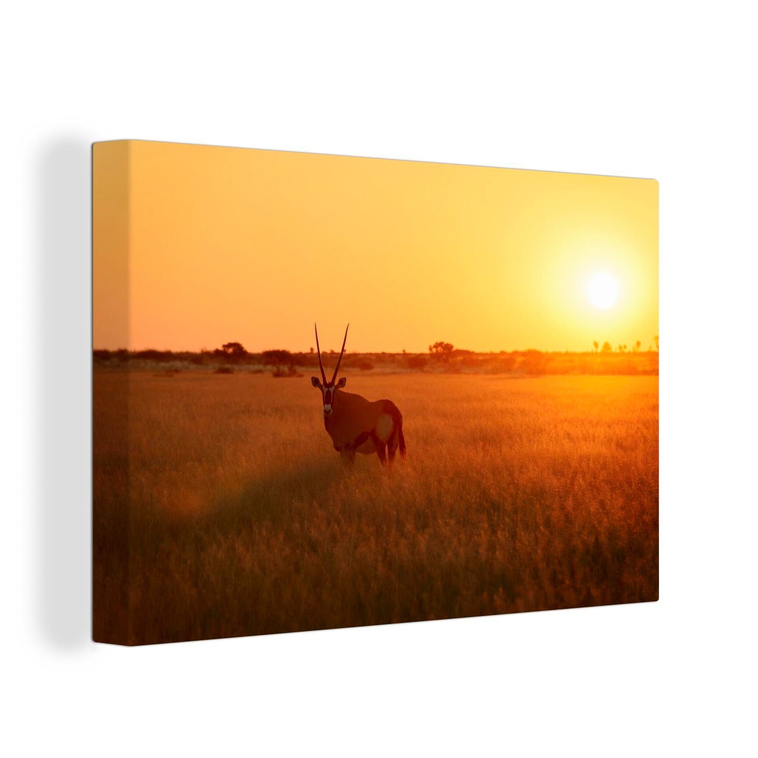 OneMillionCanvasses® Leinwandbild Sonnenuntergang im Leinwandbilder, (1 Wandbild Zentral Wanddeko, Wildreservat 30x20 Kalahari Aufhängefertig, in St), Afrika, cm