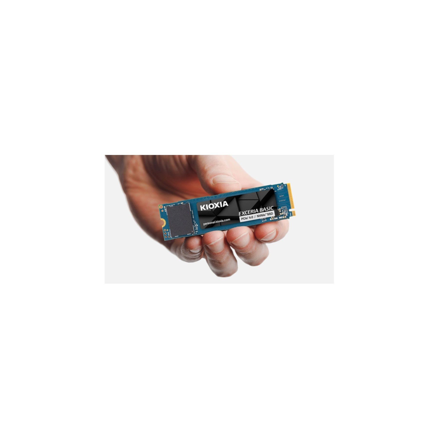 KIOXIA LSF10Z002TG8 interne SSD