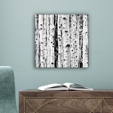 OneMillionCanvasses® Leinwandbild Bäume - Holz - Schwarz und weiß - Natur, (1 St), Leinwand Bilder für Wohnzimmer Schlafzimmer