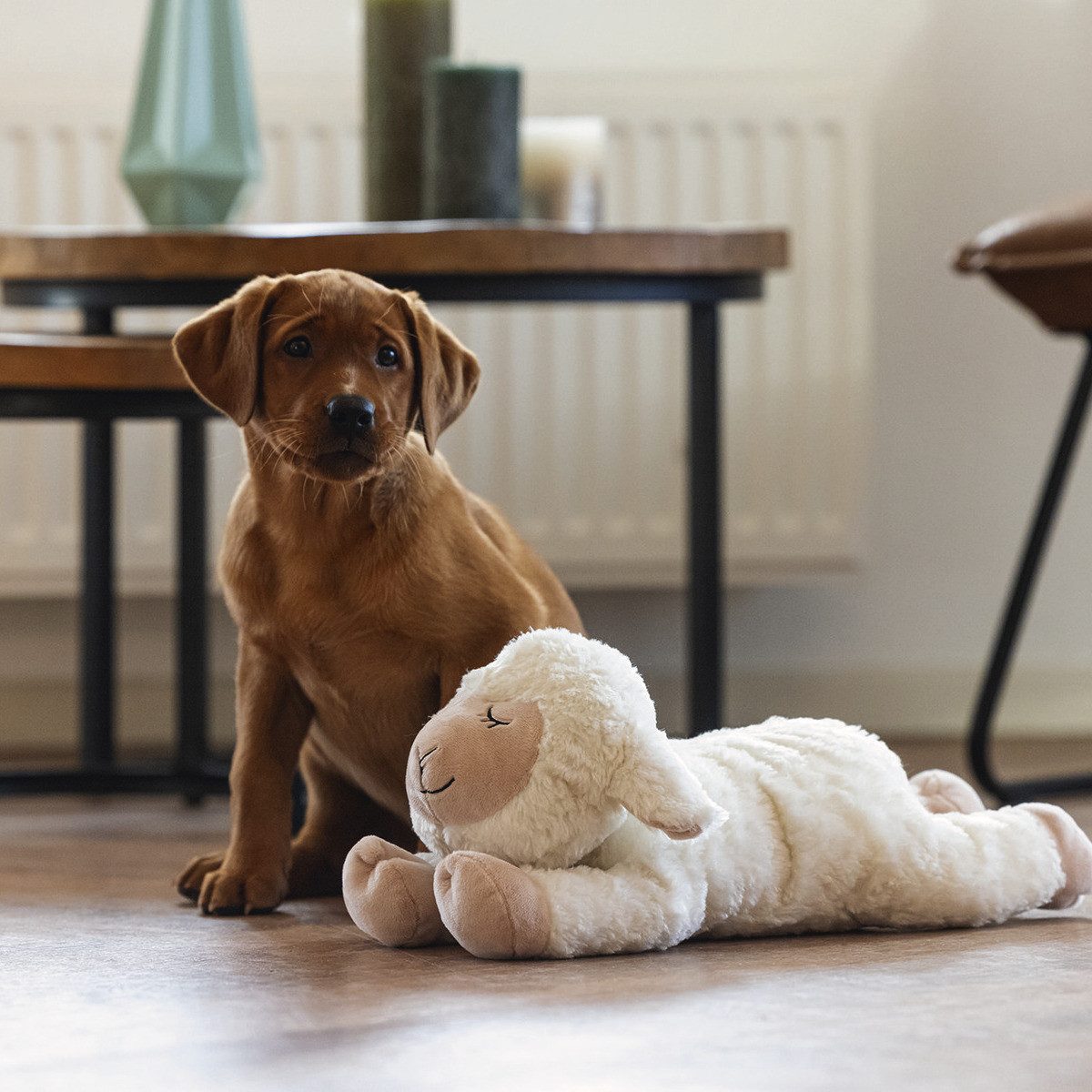 Beeztees Tierkuscheltier Hundespielzeug Puppy Herzschlag Bowi günstig online kaufen