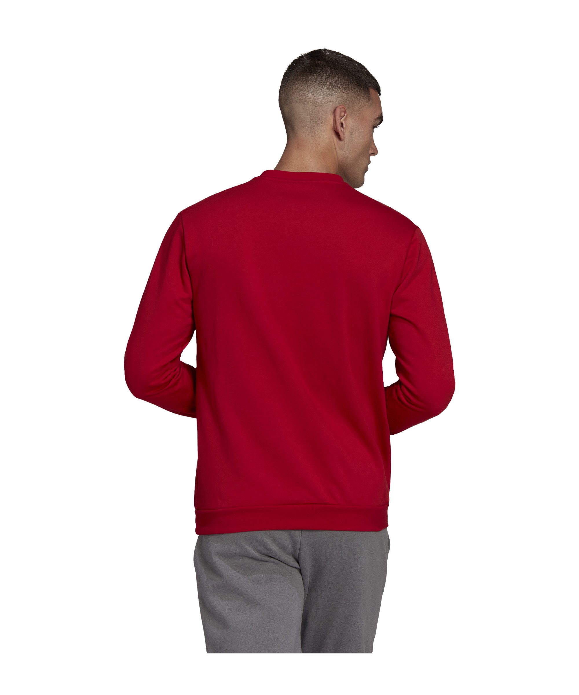 adidas Performance Sweatshirt adidas Performance Entrada günstig online kaufen