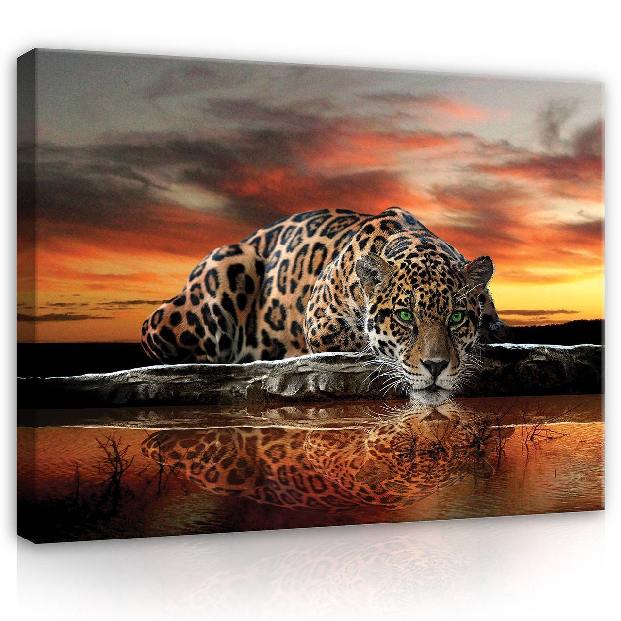 Wallarena Leinwandbild Leopard Bild Bilder Modern Canvas Wohnzimmer Groß Kunstdruck Leinwandbilder XXL Leinwand Wandbilder Modern Aufhängefertig (Einteilig), Tiere Auf Schlafzimmer, Tiger Wandbild Natur Sonnenuntergang Afrika für