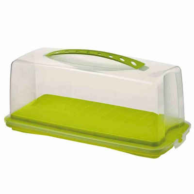 ROTHO Kuchentransportbox »Kuchenbehälter "Fresh" natur/grün gedeckt 36 x 16,5 x 16,5 cm«, Kunststoff