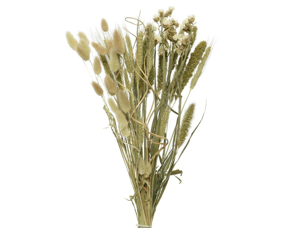 Kaemingk Trockenblume, Blumen Gräser grün und Decoris natur season decorations, Strauß 1 Bund Mix Trockenblumen 45cm