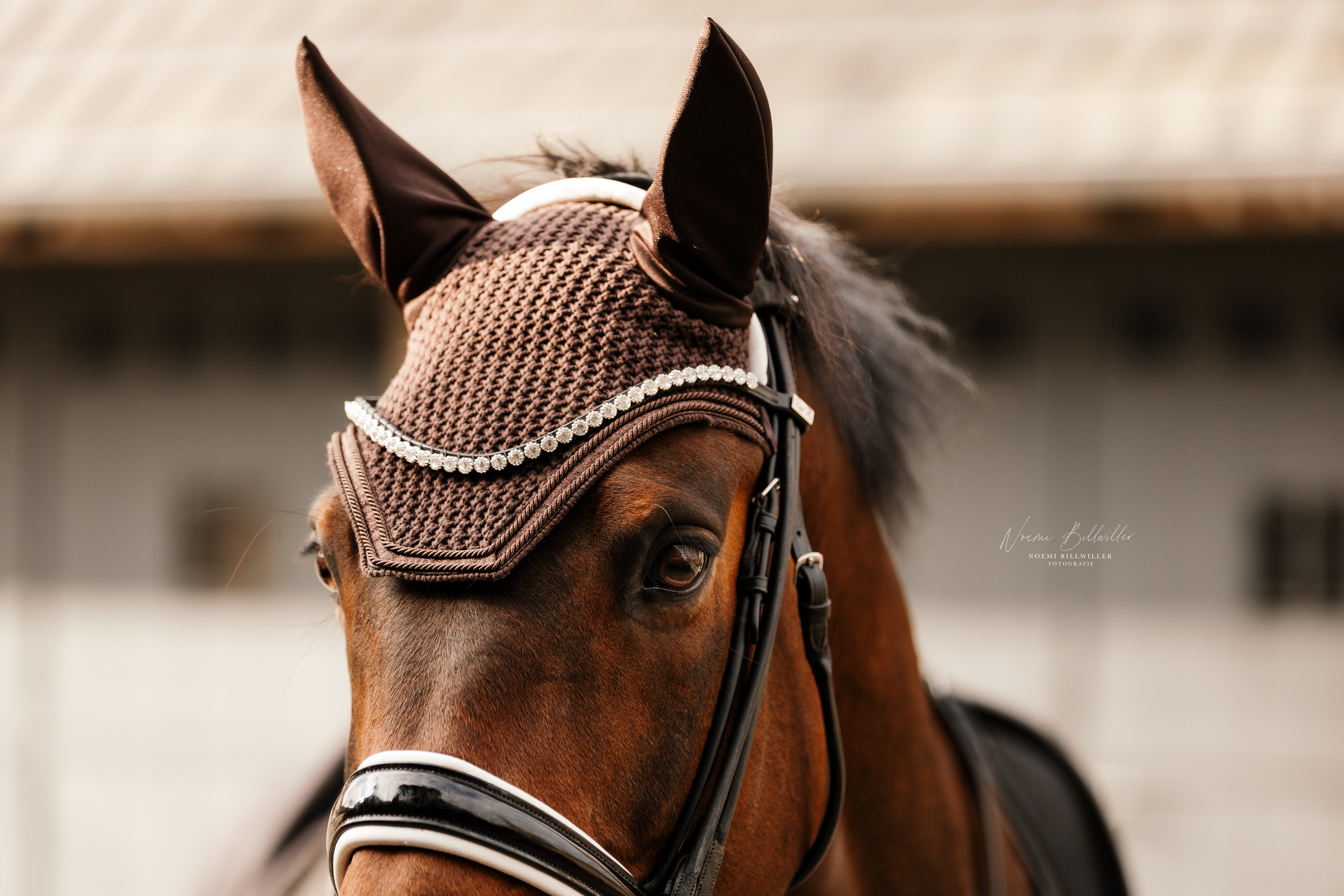 Equimour Fliegenhaube Fliegenhaube Pferd – Chocolate, atmungsaktiv, Baumwolle, elegant (1 St), atmungsaktiv, Baumwolle, elastisch, elegant, Glitzerkordel