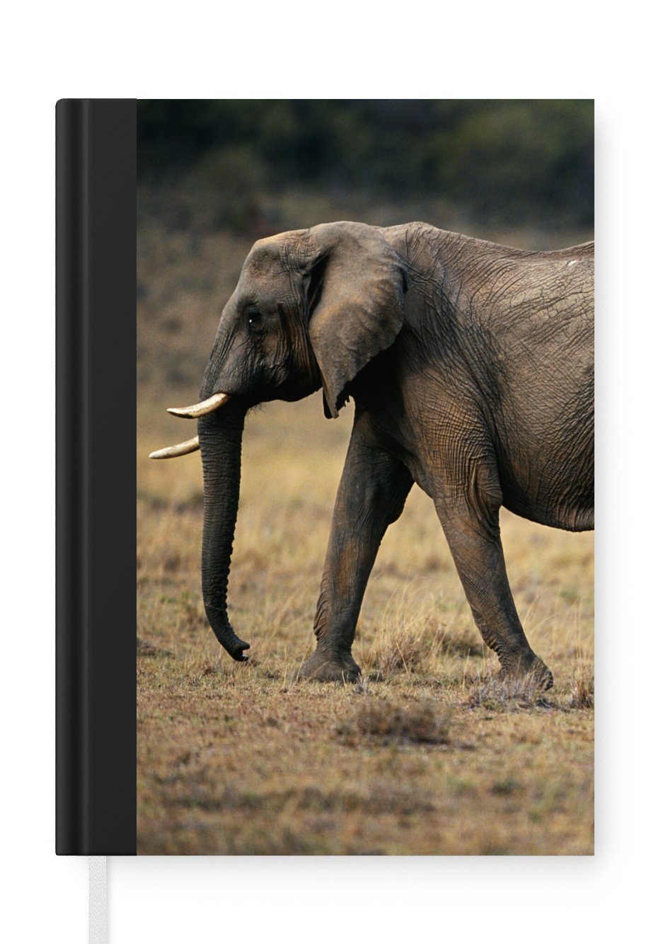 MuchoWow Notizbuch Elefant - Tiere - Savanne - Natur, Journal, Merkzettel, Tagebuch, Notizheft, A5, 98 Seiten, Haushaltsbuch