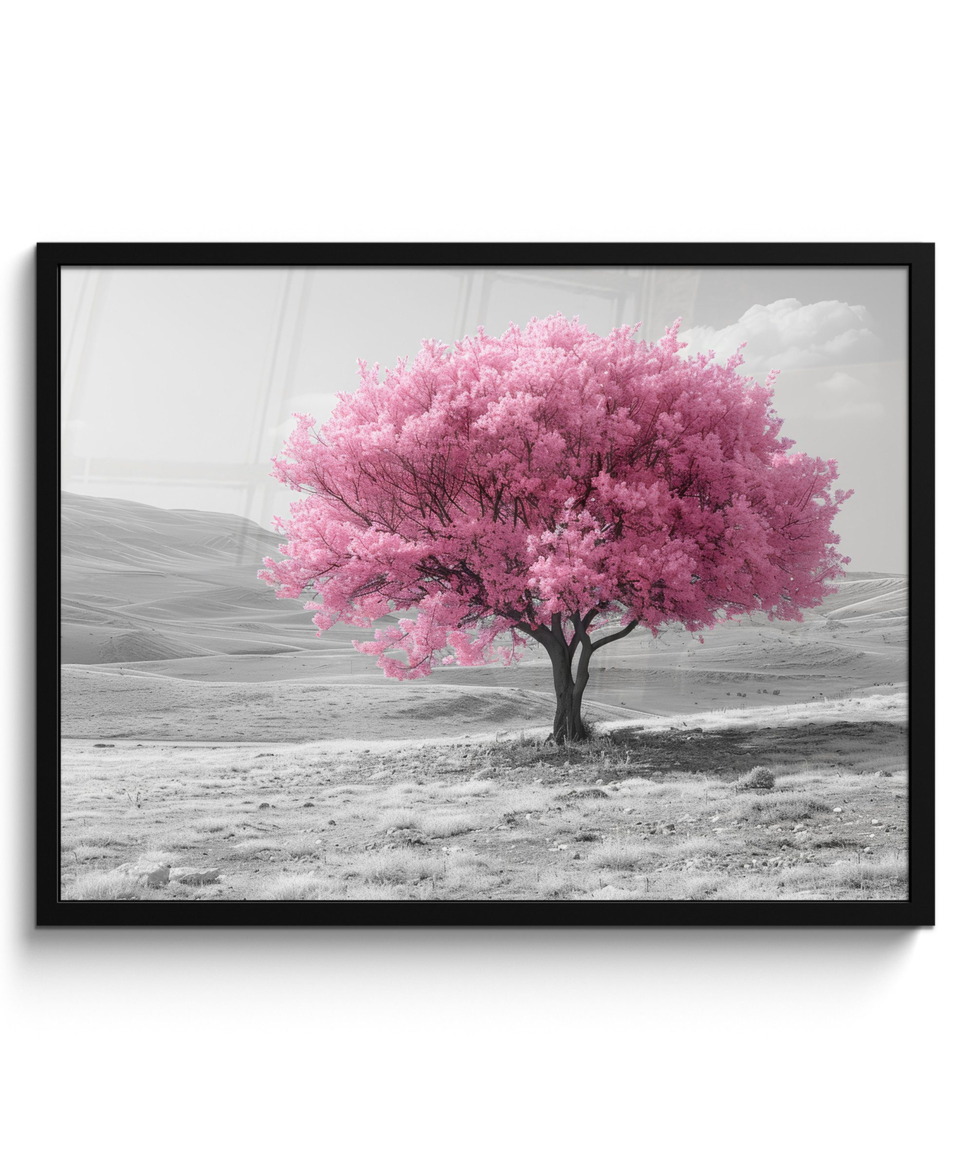 Poster Baum - Natur - Rosa - Schwarz und weiß