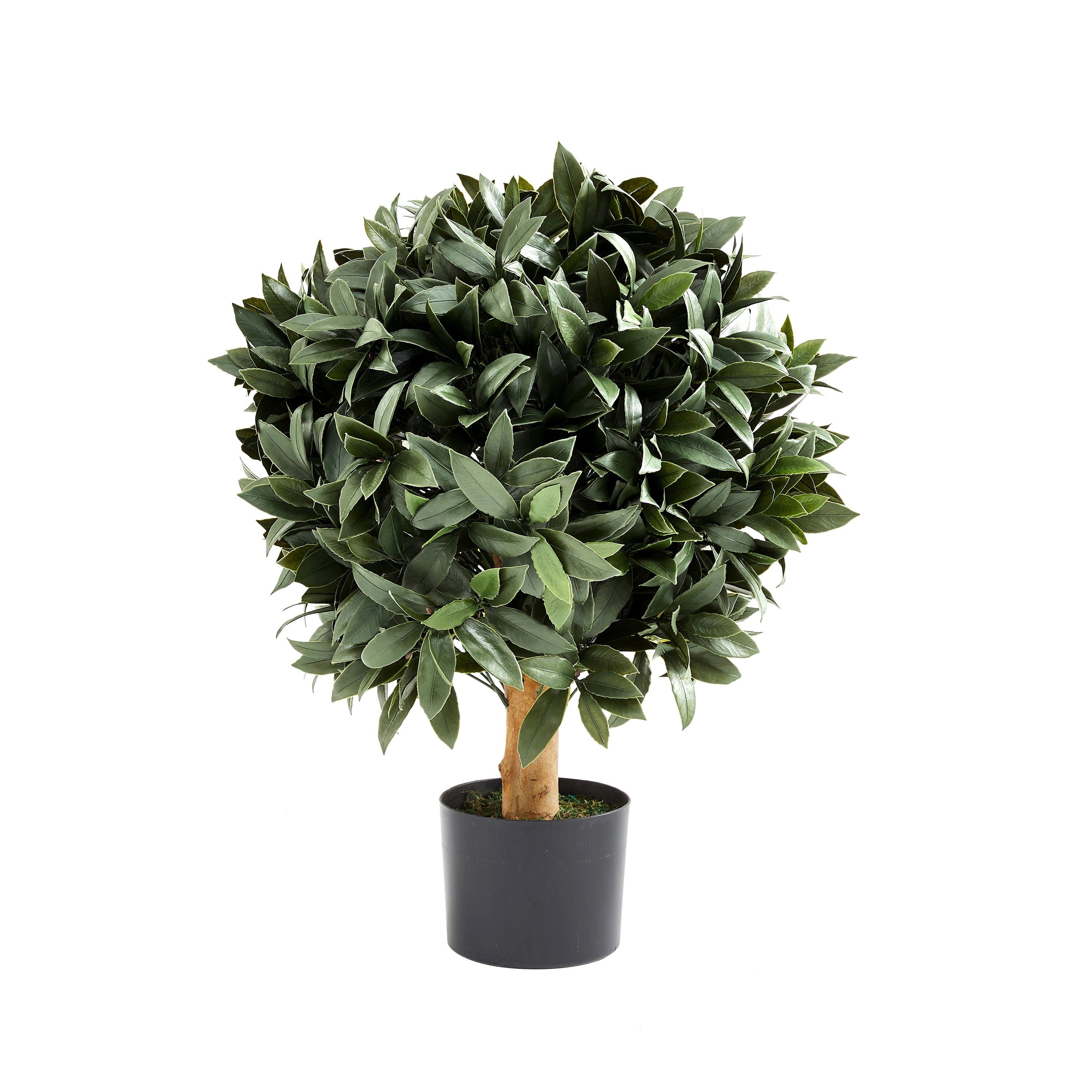 Kunstbaum Künstlicher Lorbeerbaum – Vaelis, 75 cm, aplanta, Höhe 75 cm
