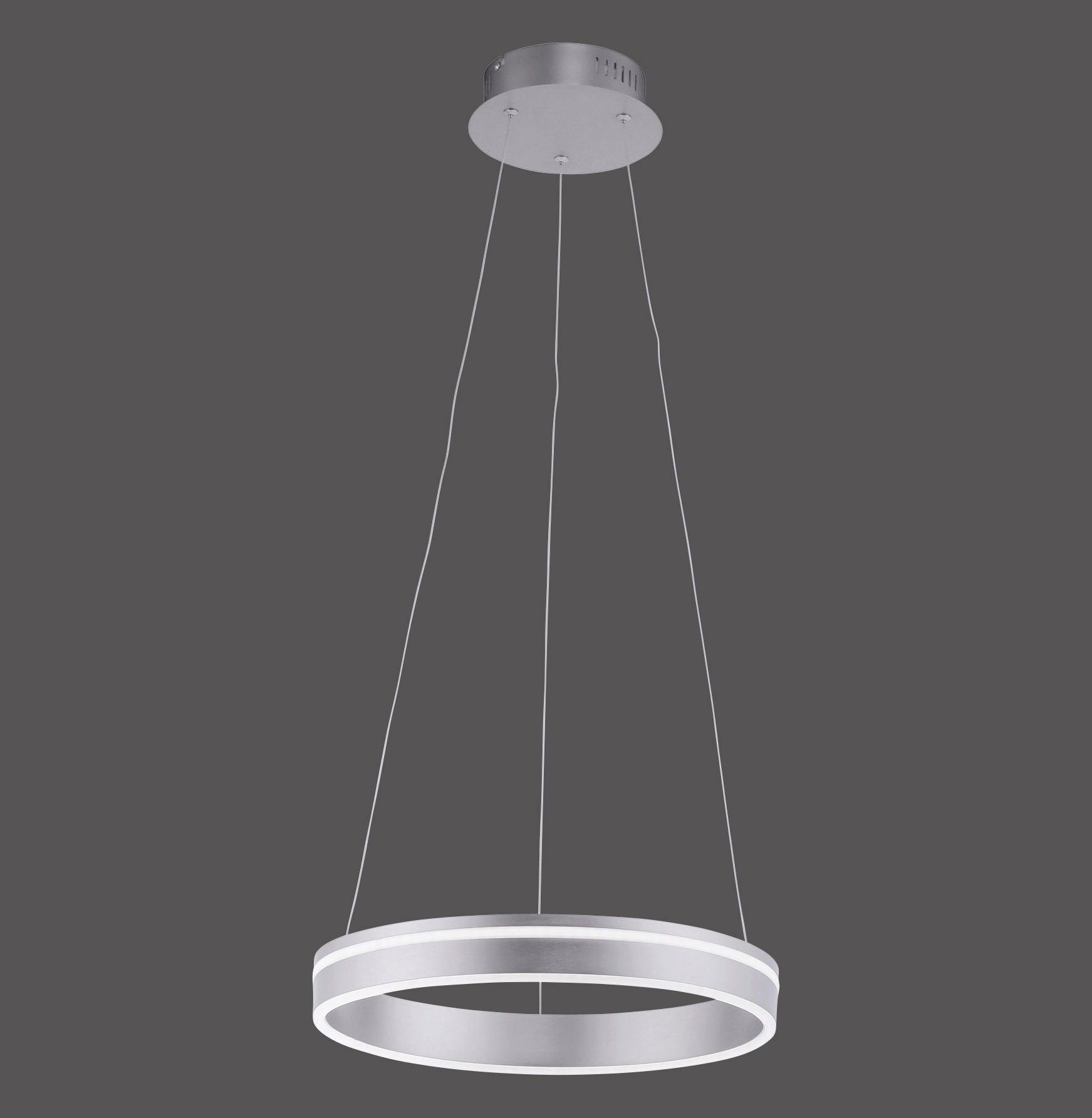 Paul Neuhaus Pendelleuchte Paul Neuhaus Pendelleuchte DH 40x120 cm grau Hängelampe Hängeleuchte, Warmweiß