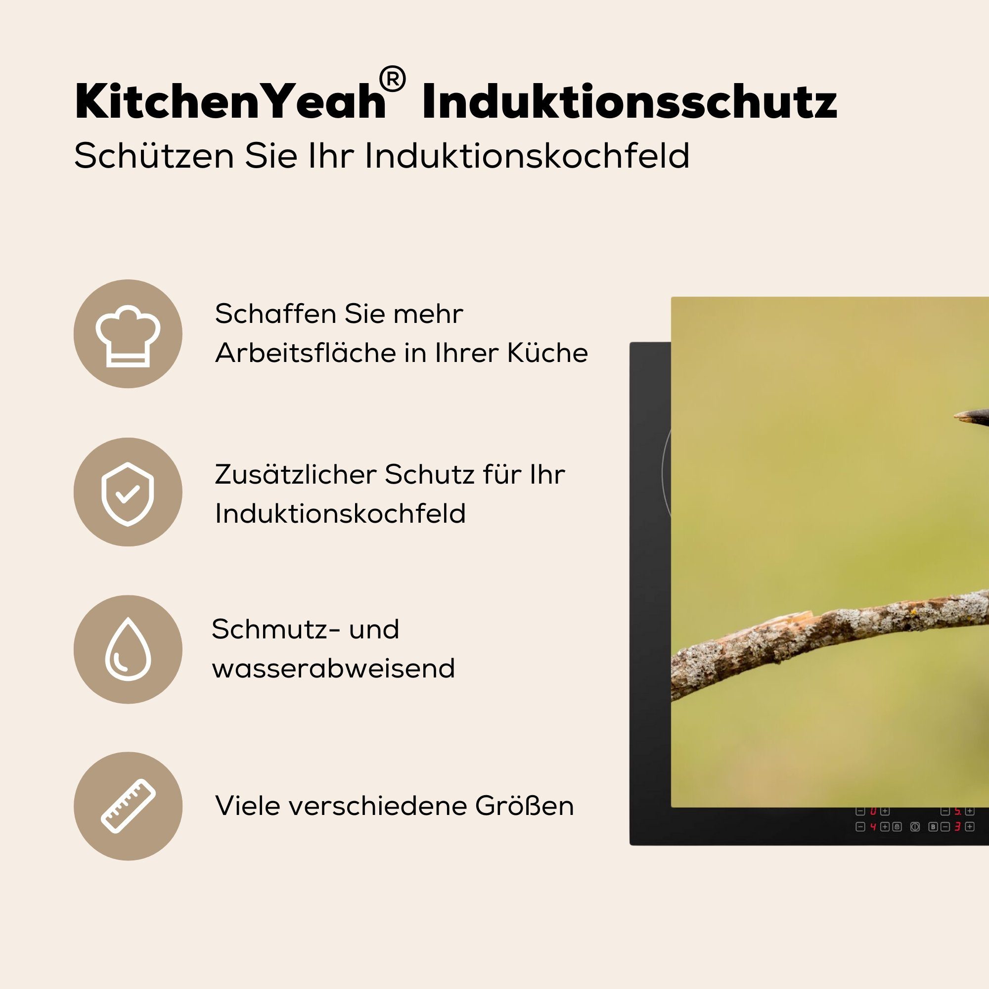 MuchoWow Herdblende-/Abdeckplatte Vogel - (1 cm, Arbeitsplatte Vinyl, 81x52 Tiere, küche Ceranfeldabdeckung, Bienenfresser für - tlg)