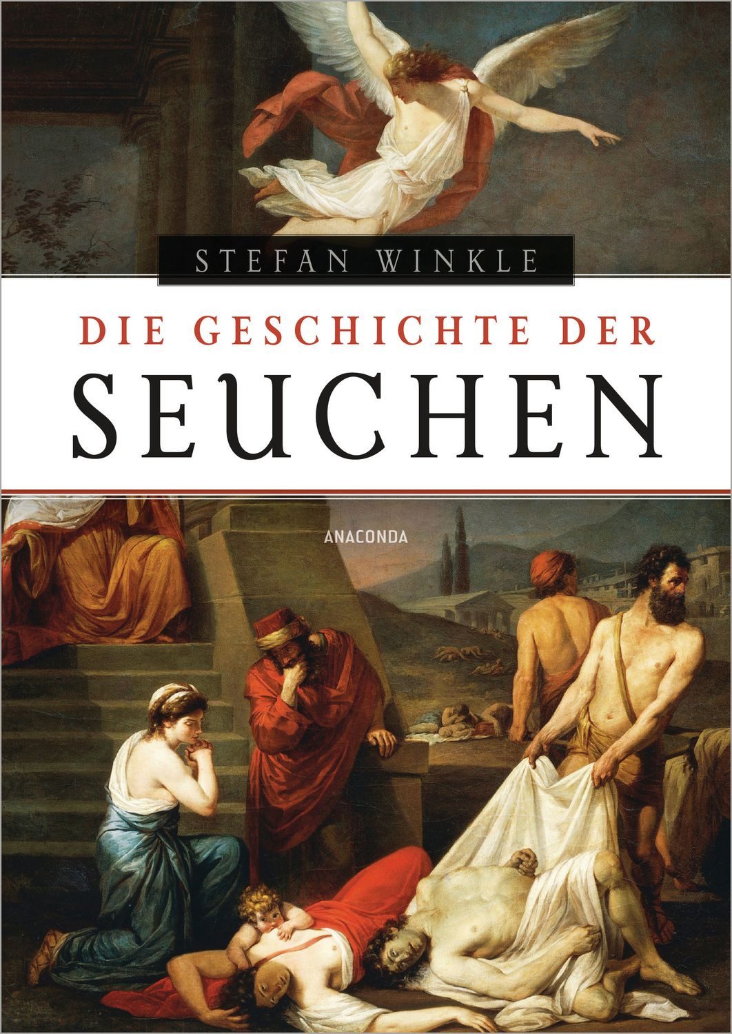 Sachbuch Die Geschichte der Seuchen Stefan Winkle