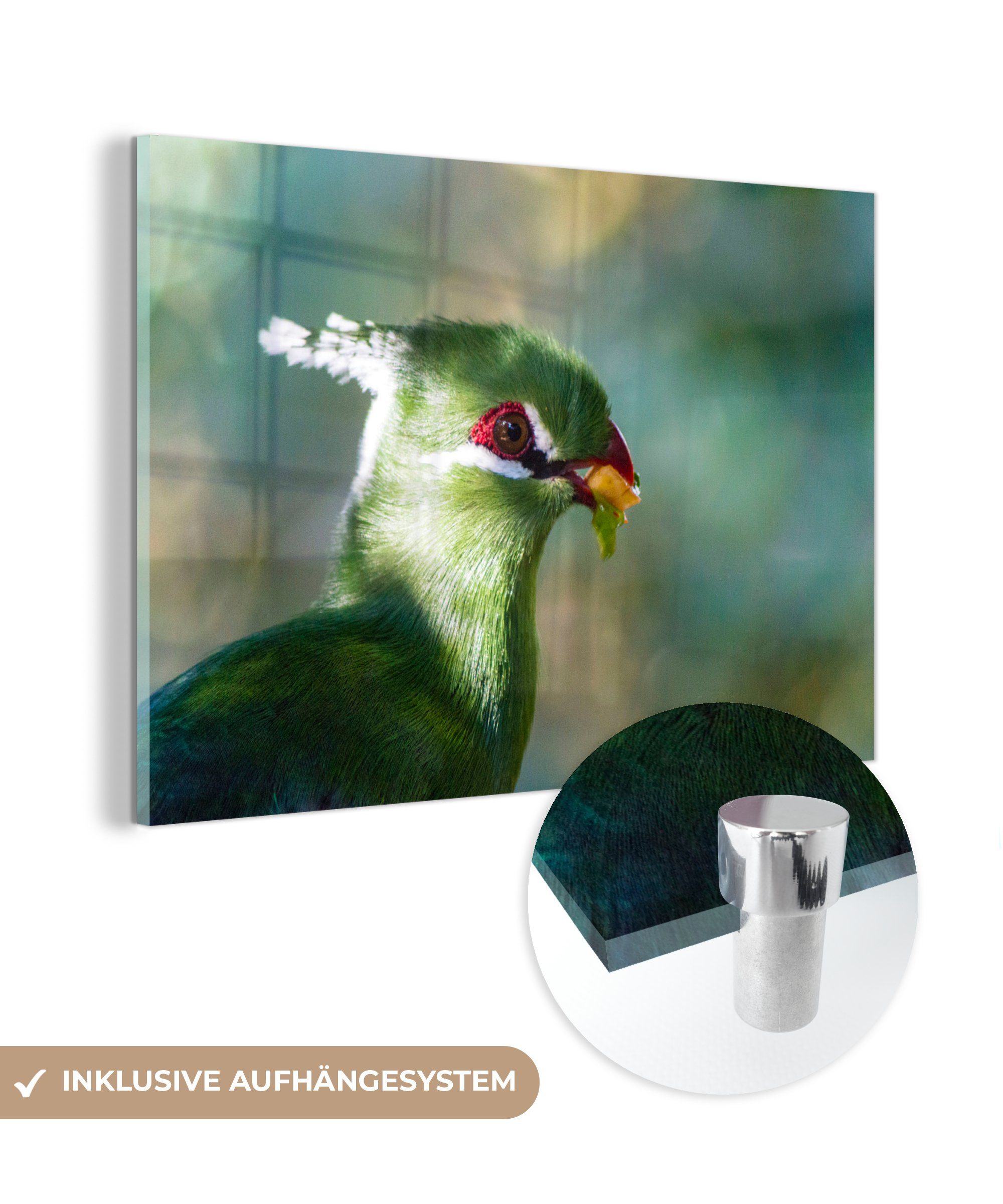 Birds Eden, Acrylglasbild in Toerako of (1 Wohnzimmer Acrylglasbilder Schlafzimmer MuchoWow St), &