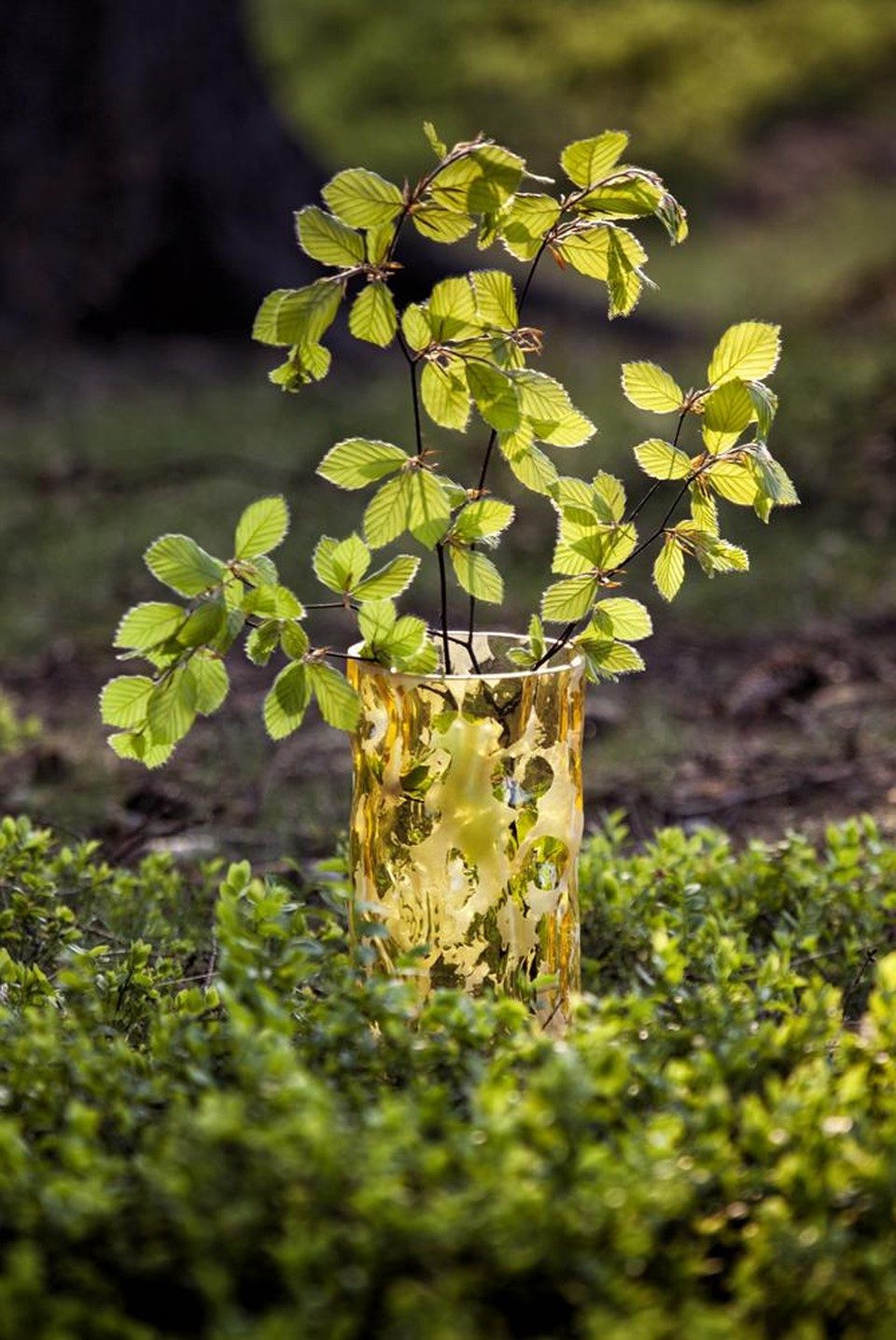 Xlmoebel Dekovase Abstrakte Kristallvase aus Bohemia - Handgefertigte Vase, Made in Europa