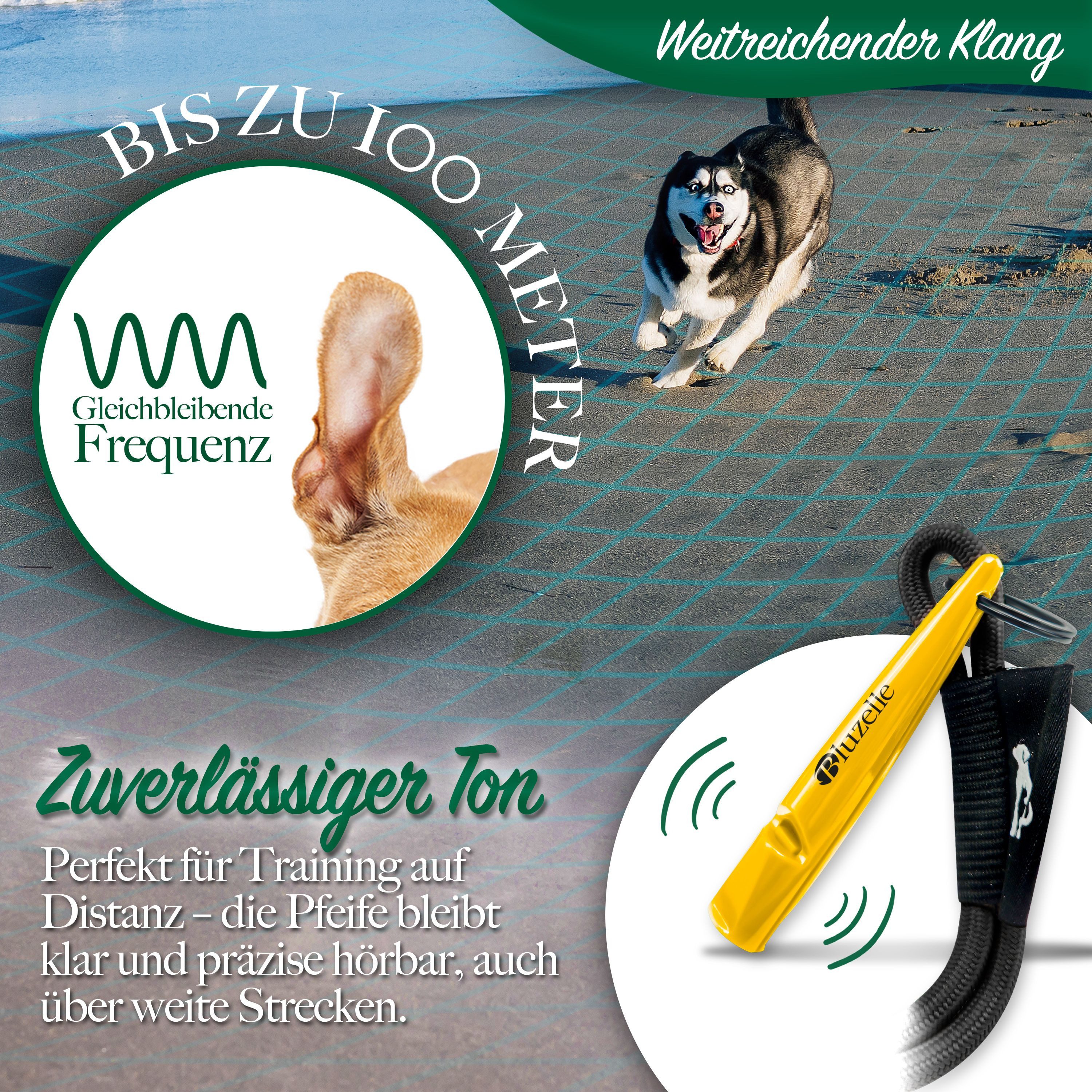 Bluzelle Hundepfeife Recall 5800, Pfeife Hundetraining / 5800Hz Frequenz / BPA Frei / mit Band & Ring
