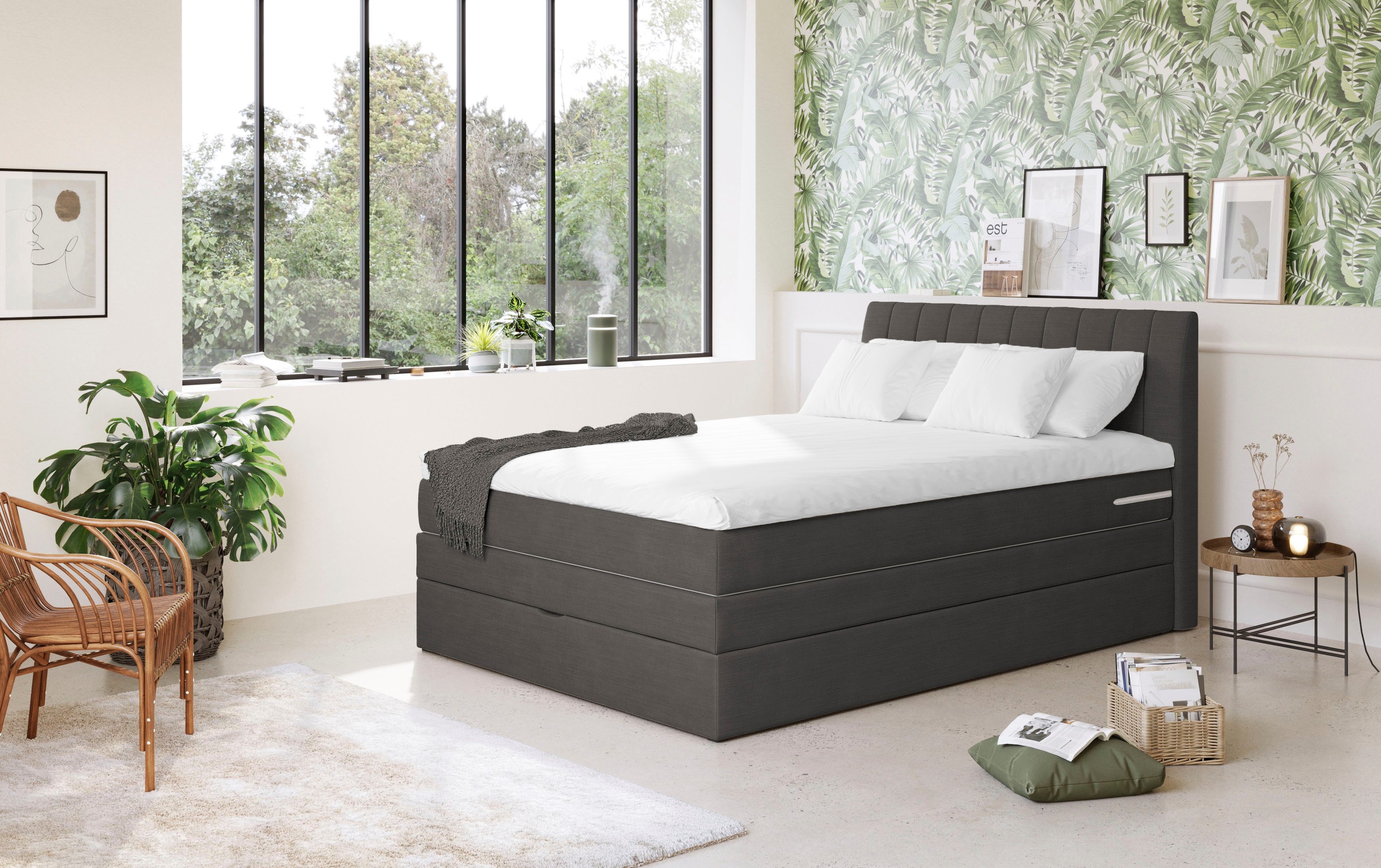 COTTA Boxspringbett Shark inkl. Bettkasten und Topper, erhältlich in den Breiten 140x200cm, 160x200cm und 180x200cm