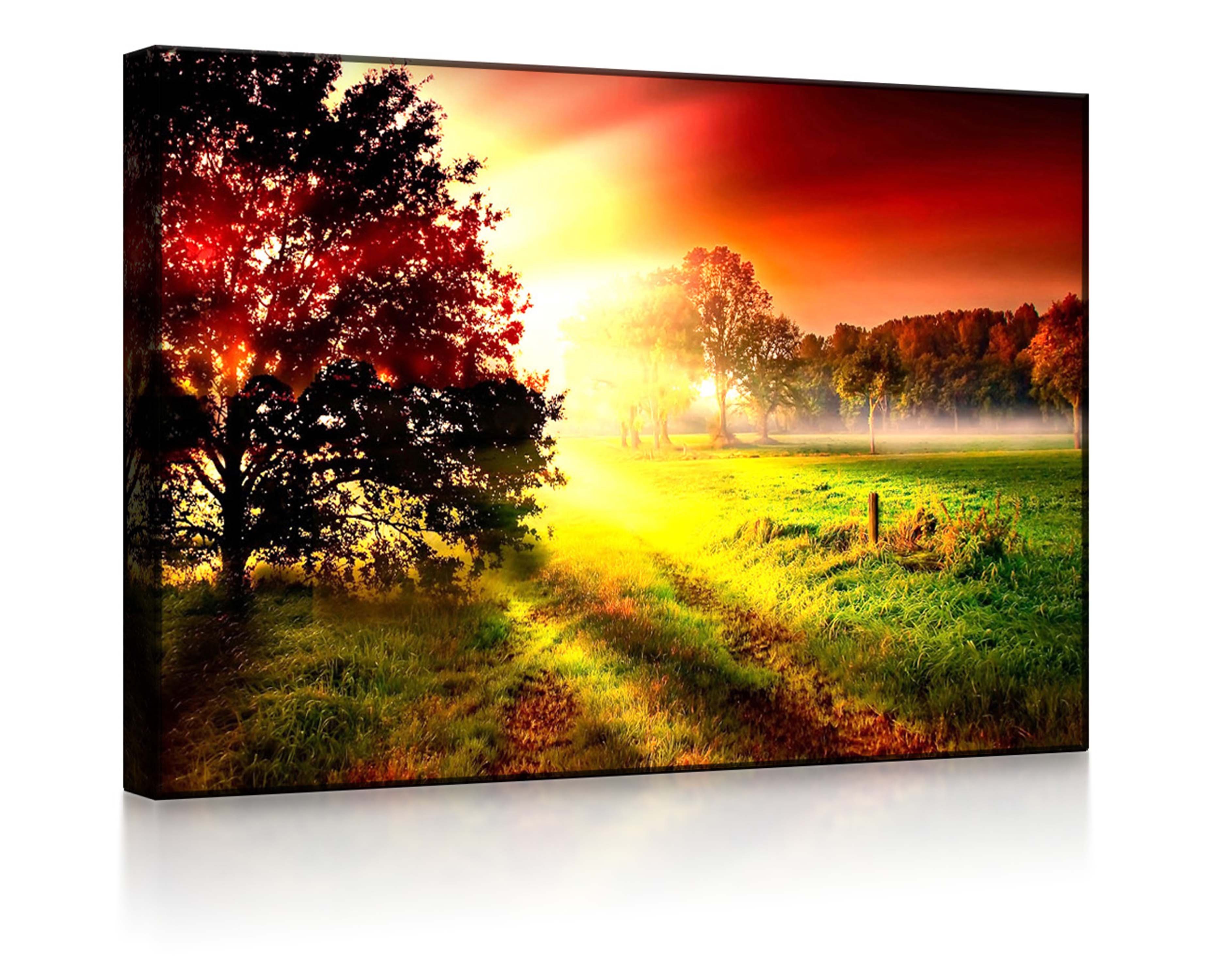 lightbox-multicolor LED-Bild Sonnenuntergang an nebliger Lichtung front lighted / 80x60cm, Leuchtbild mit Fernbedienung