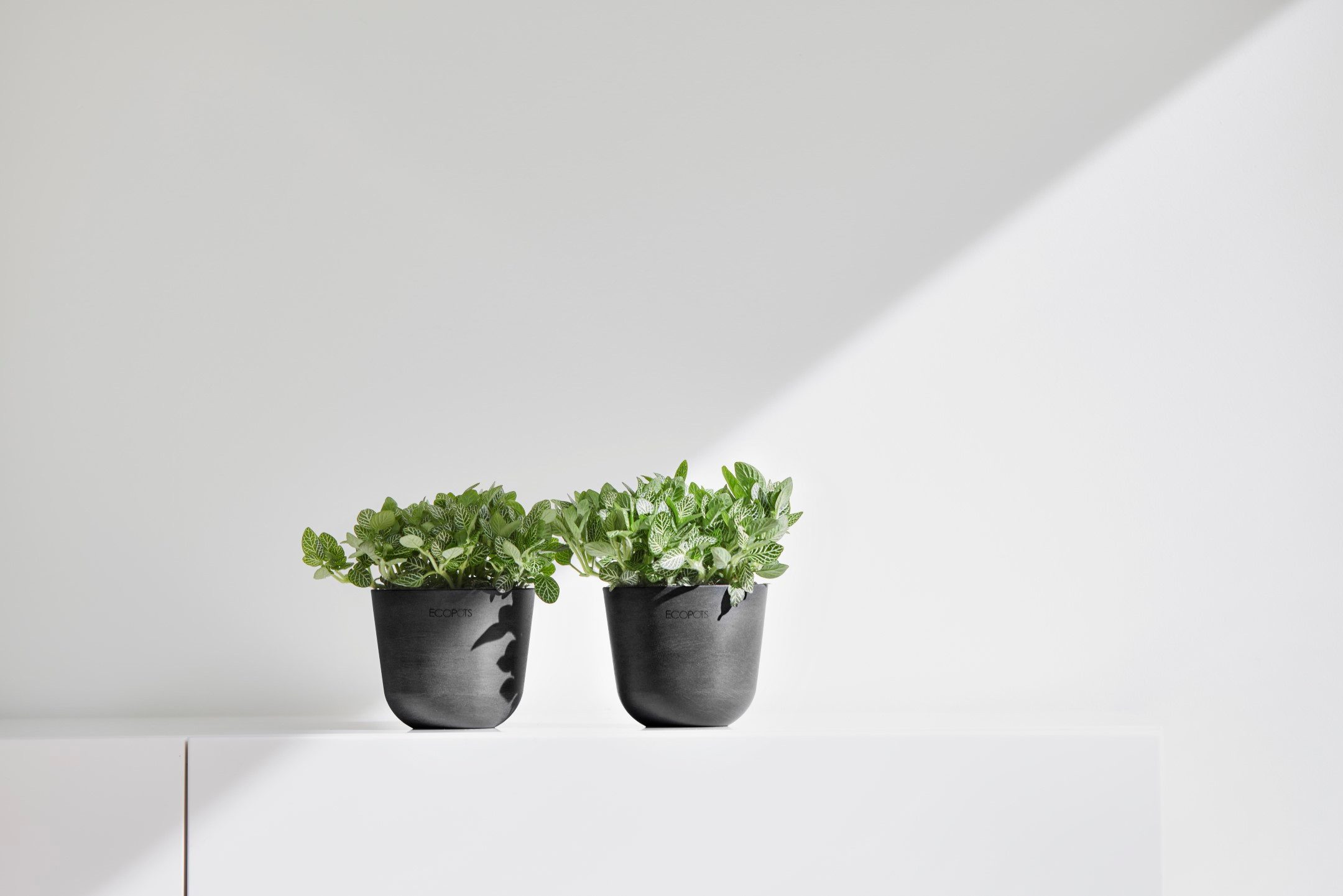 ECOPOTS Blumentopf Oslo Mini 11,5 Dunkelgrau, für den Innenbereich günstig online kaufen