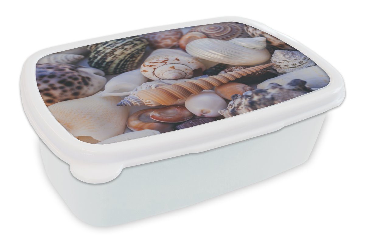 MuchoWow Lunchbox Muscheln - Strand - Nahaufnahme, Kunststoff, (2-tlg), Brotbox für Kinder und Erwachsene, Brotdose, für Jungs und Mädchen weiß