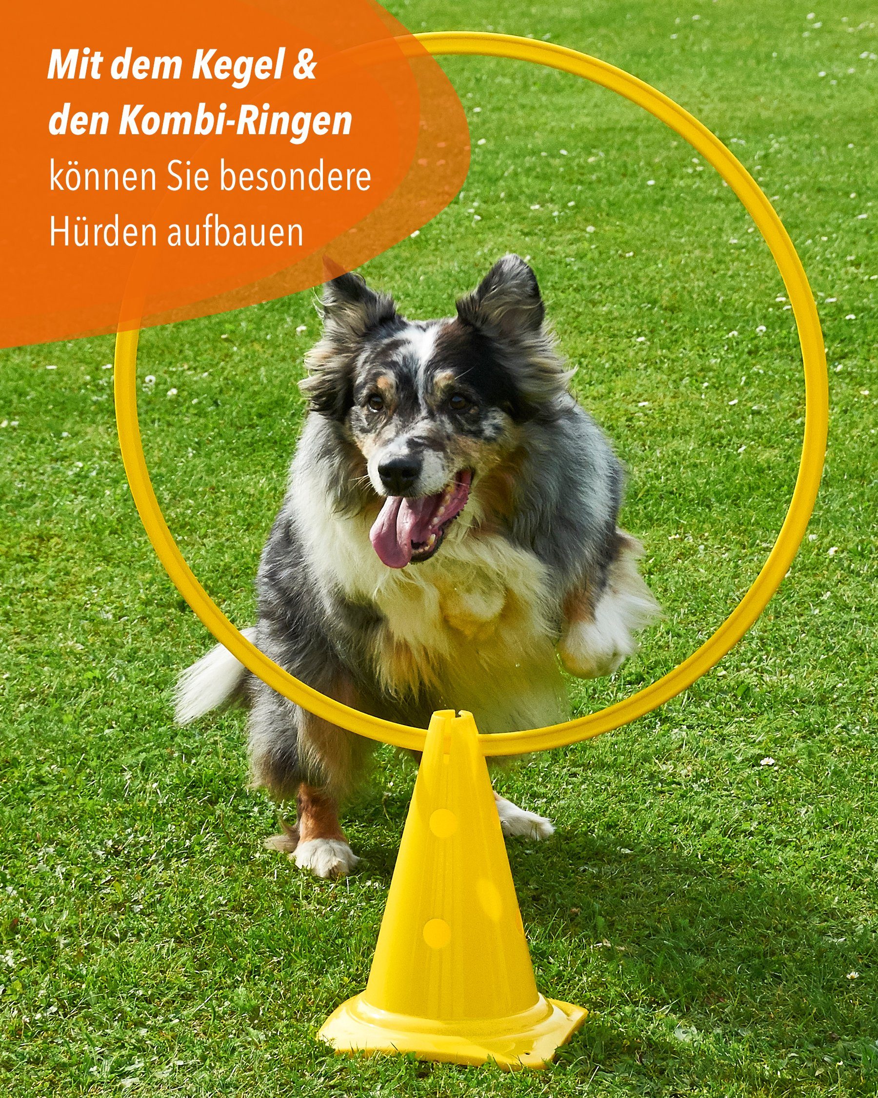 Superhund Markierungshütchen Kegel 30 Farbe Blau