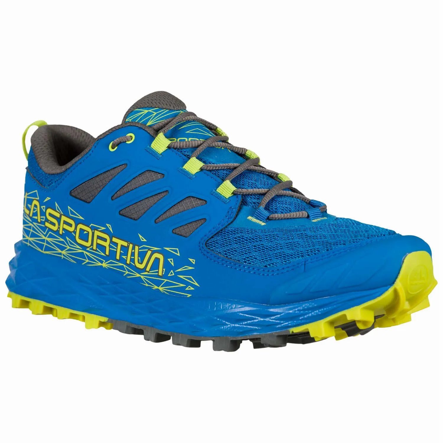 Trail-Laufschuhe Lycan II blau Herren Wanderschuh