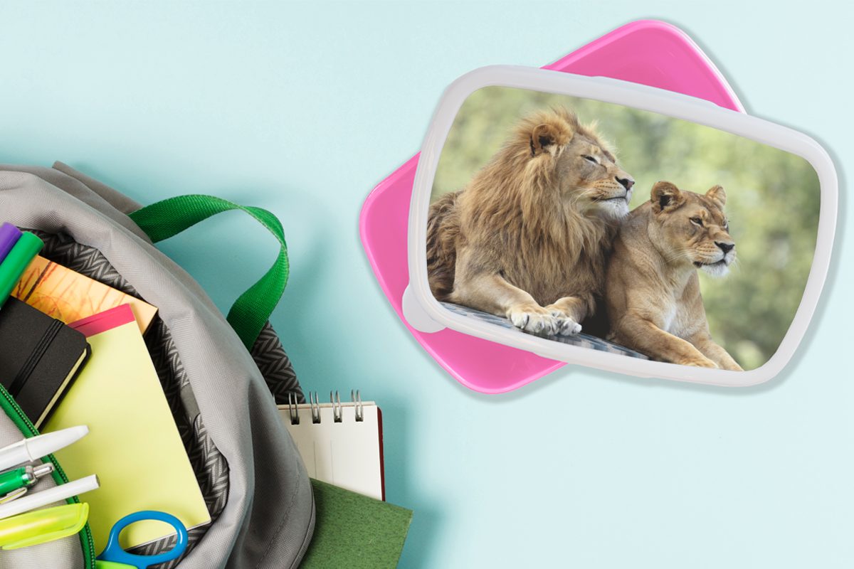 Snackbox, - (2-tlg), rosa für Kunststoff Erwachsene, Natur Kinder, MuchoWow Liebe, - Brotbox Lunchbox Wildtiere Brotdose Kunststoff, Mädchen,