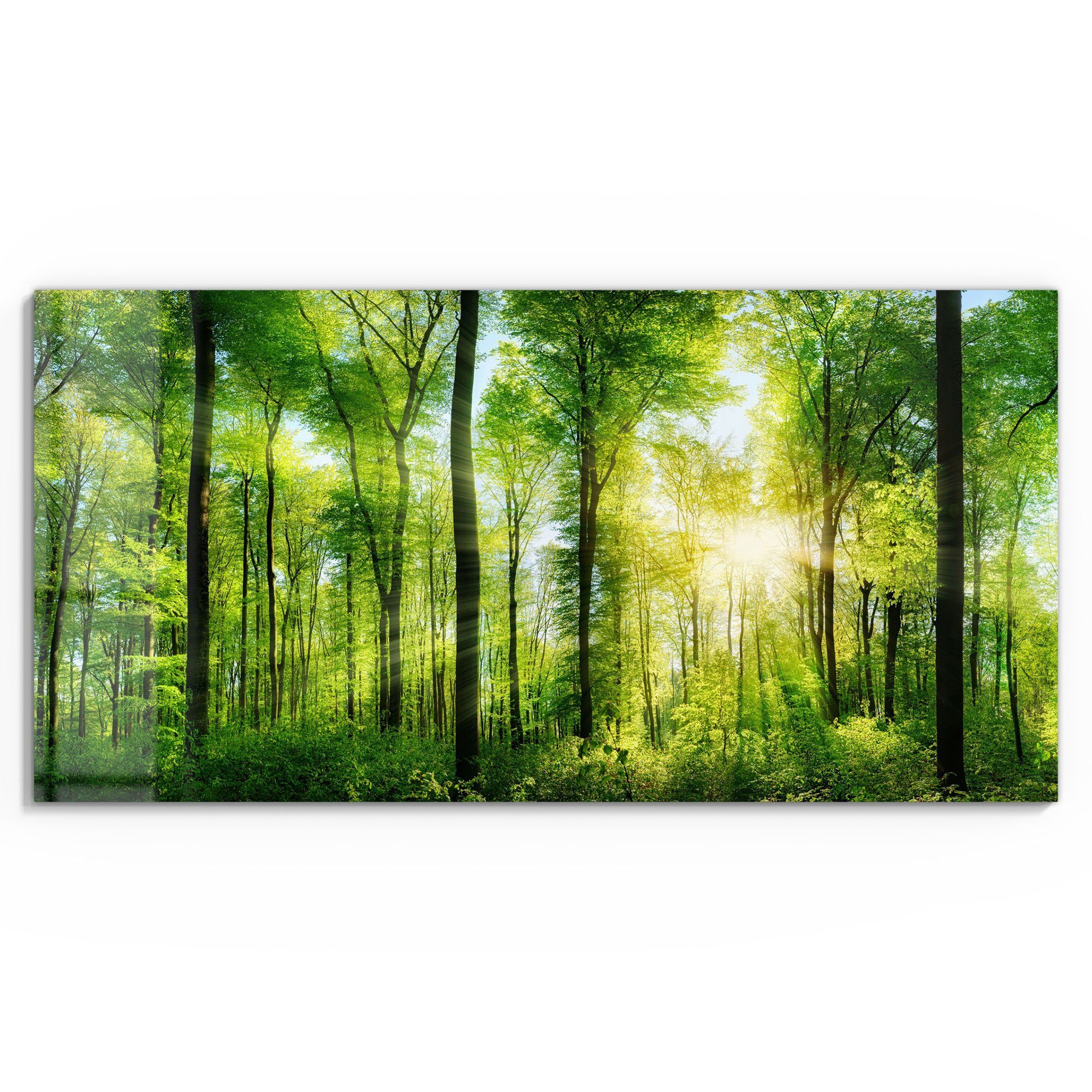 DEQORI Glasbild 'Sonne durchbricht Wald', 'Sonne günstig online kaufen