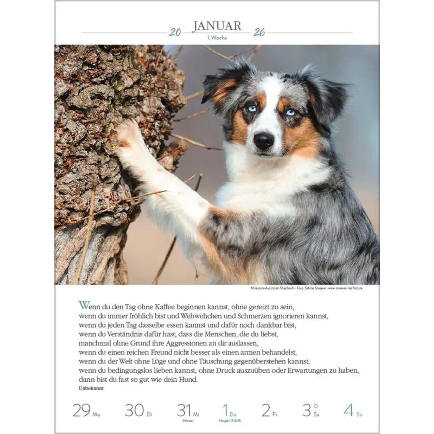 Korsch Verlag Wandkalender Literaturkalender Hunde 2026