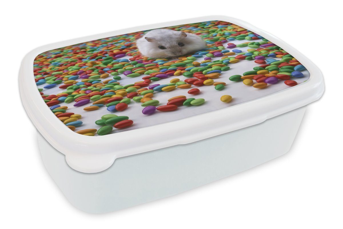 für Lunchbox MuchoWow Mädchen Erwachsene, Kunststoff, den (2-tlg), zwischen bunten Kinder Bonbons, Jungs und für Hamster und Brotdose, Brotbox weiß