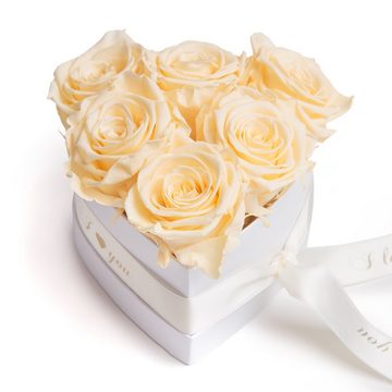 Kunstblume Infinity Rosenbox Herz 6 ewige Rosen I Love You Geschenk für Frauen Rose, ROSEMARIE SCHULZ Heidelberg, Höhe 10 cm, Valentinstag Geschenk für Frau