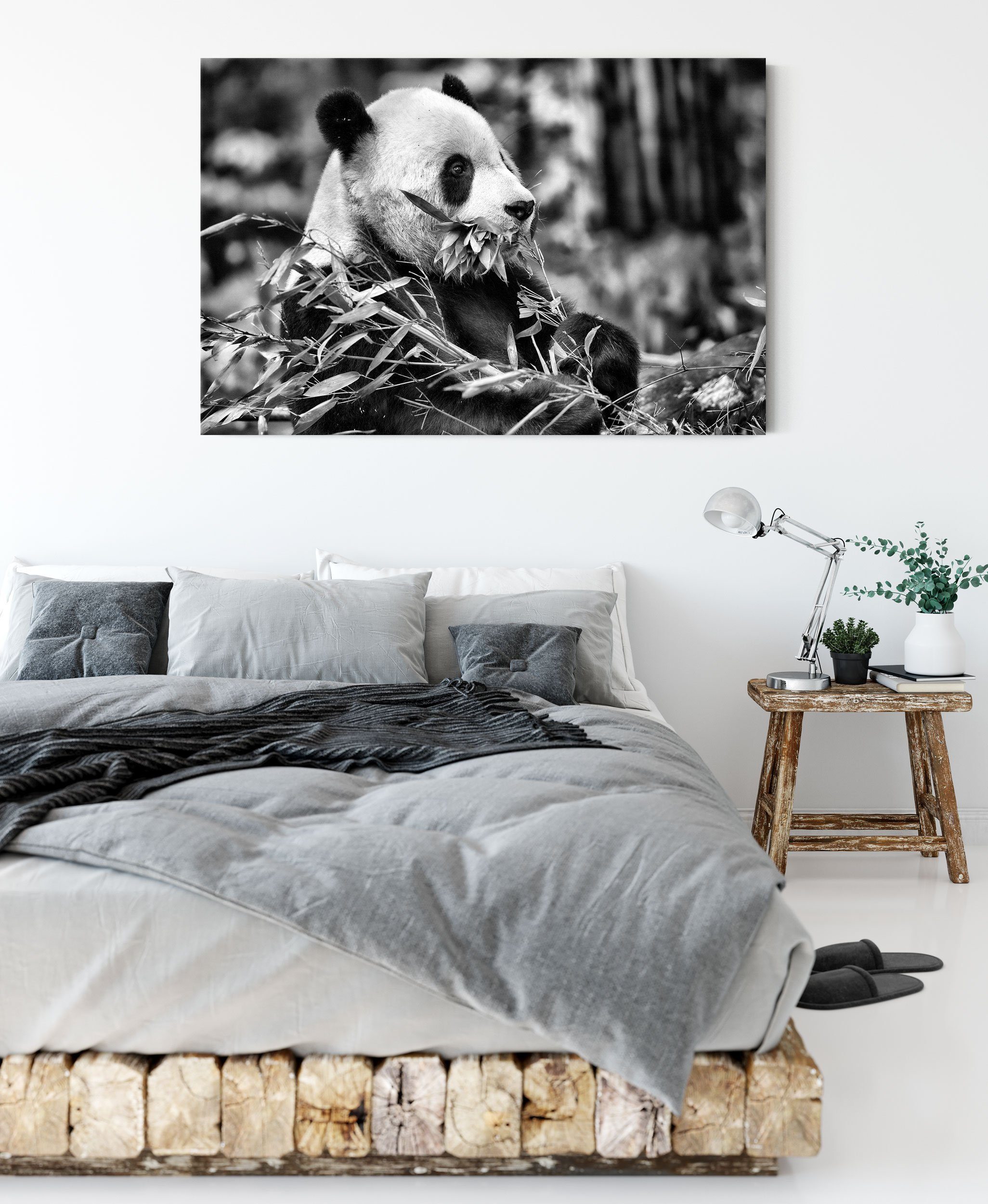 beim Fressen, Zackenaufhänger (1 Fressen St), bespannt, Pandabär fertig Pixxprint Leinwandbild beim inkl. Pandabär Leinwandbild
