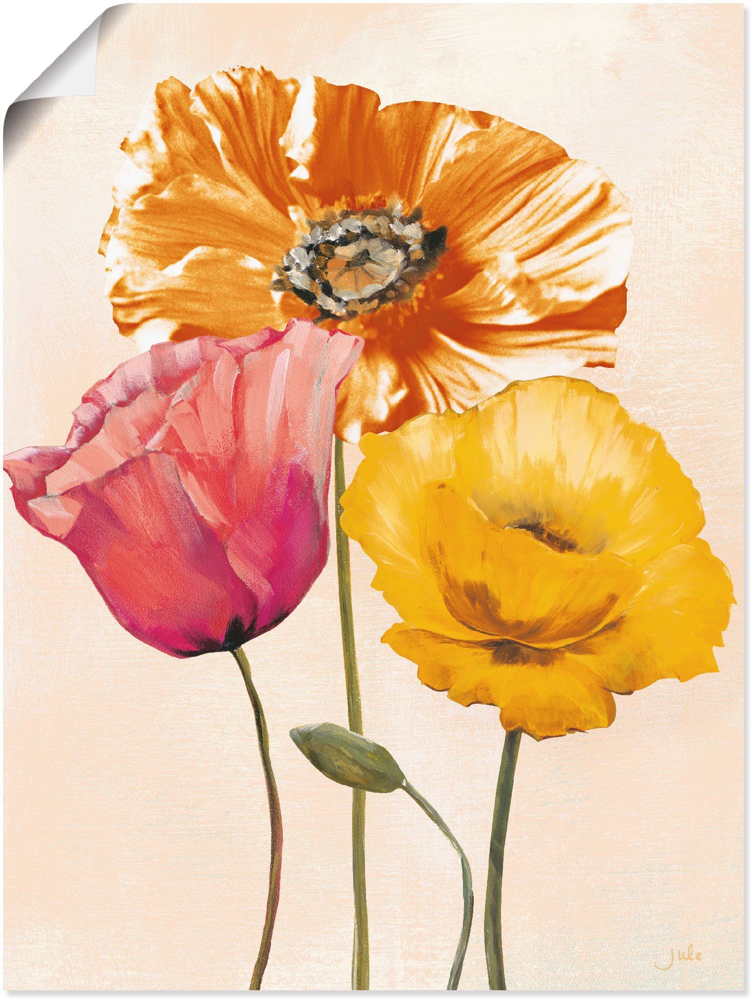 Artland Wandbild Bunte Mohnblumen II, Blumenbilder (1 St), als Leinwandbild, Poster, Wandaufkleber in verschied. Größen