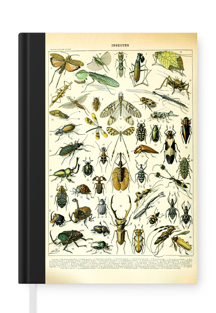 MuchoWow Notizbuch Insekten - Tiere - Gestaltung, Journal, Merkzettel, Tagebuch, Notizheft, A5, 98 Seiten, Haushaltsbuch