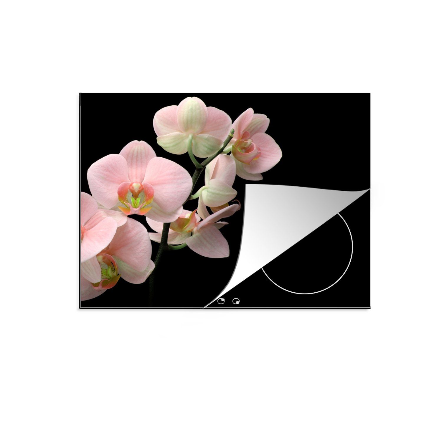 MuchoWow Herdblende-/Abdeckplatte Orchidee - Blumen - Rosa - Stilleben - Flora, Vinyl, (1 tlg), 65x52 cm, Mobile Arbeitsfläche nutzbar, Ceranfeldabdeckung