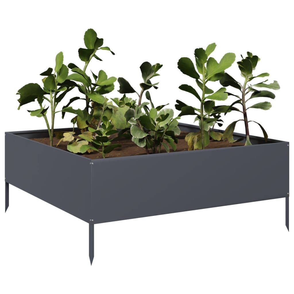 vidaXL Hochbeet Hochbeet Anthrazit 100x100x41 cm Stahl (1 St)